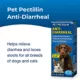 Product PetAg® Pet Pectillin Anti-Diarrheal