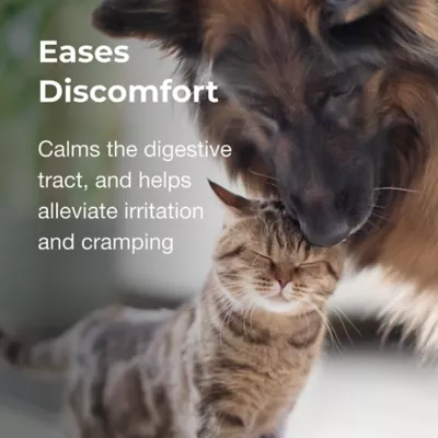 Product PetAg® Pet Pectillin Anti-Diarrheal