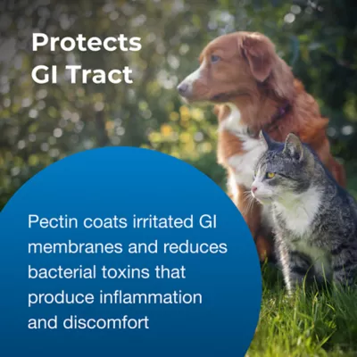Product PetAg® Pet Pectillin Anti-Diarrheal