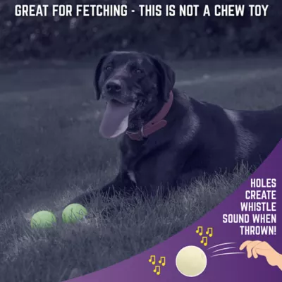 Product Chew King Glowing Fetch Balls 8 CT