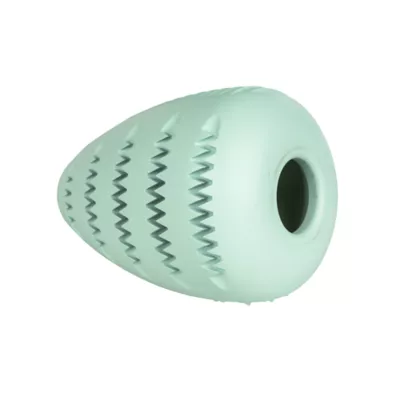 Product Chew King Treater Dental Dog Toy