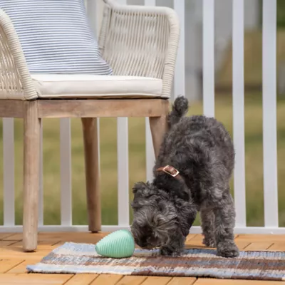 Product Chew King Treater Dental Dog Toy
