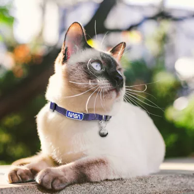 Product Pets First NASA Satin Cat Collar