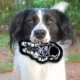 Product Pets First NASA Astronaut Squeaky Tough Dog Toy