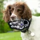 Product Pets First NASA Astronaut Squeaky Tough Dog Toy