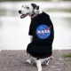 Product Pets First NASA Logo Dog Tee Shirt