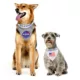 Product Pets First NASA Reflective Reversible Dog Bandana