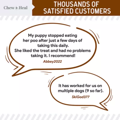 Product Chew + Heal Stop The Poo Soft Chew Coprophagia & Digestive Supplement for Dogs