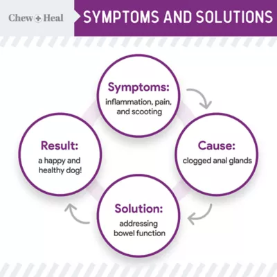 Product Chew + Heal Stop The Scoot Anal Gland Support & Bowel Function Supplement for Dogs