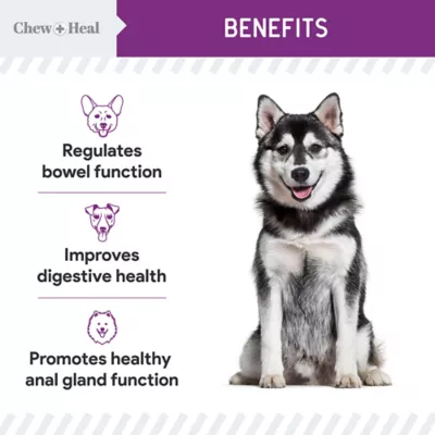 Product Chew + Heal Stop The Scoot Anal Gland Support & Bowel Function Supplement for Dogs