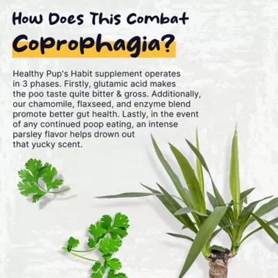 Product Healthy Pup Stool Eating Deterrent Soft Chew Supplement for Dogs