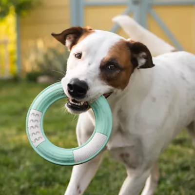 Product Chew King Dental Ring Dog Toy Collection