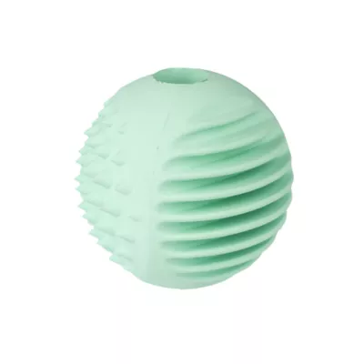 Product  Chew King Ball Scented Dental Dog Toy