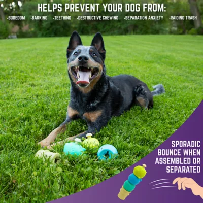 Product Chew King Ice Cream Fetch and Tug Dog Toy
