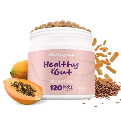 Product Healthy Pup Gut Digestive Support Soft Chews for Dogs