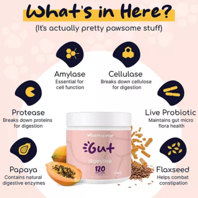 Product Healthy Pup Gut Digestive Support Soft Chews for Dogs