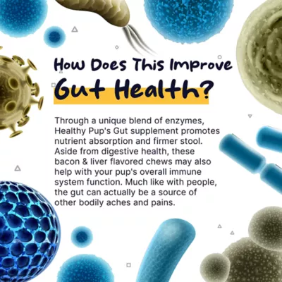 Product Healthy Pup Gut Digestive Support Soft Chews for Dogs