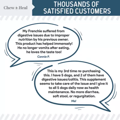 Product Chew + Heal Digestive Enzymes & Probiotics Healthy Bacteria Supplement Soft Chews for Dogs