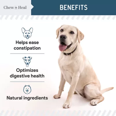 Product Chew + Heal Digestive Enzymes & Probiotics Healthy Bacteria Supplement Soft Chews for Dogs