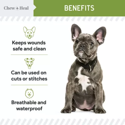 Product Chew + Heal Liquid Bandage First Aid Essential Spray for Dogs