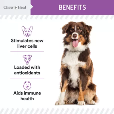 Product Chew + Heal Milk Thistle Moringa Oil & Salmon Oil Liver Support Tincture for Dogs