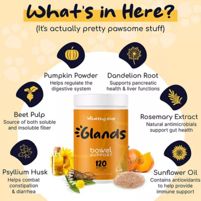 Product Healthy Pup Glands Anal Glands & Scooting Soft Chews for Dogs