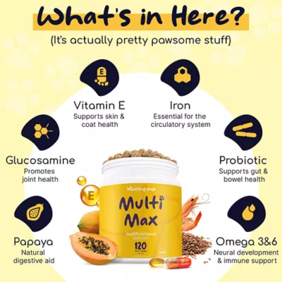 Product Healthy Pup Multi Max Multifunctional Daily Support Soft Chews for Dogs