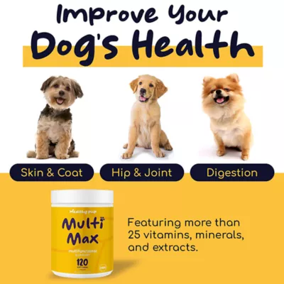 Product Healthy Pup Multi Max Multifunctional Daily Support Soft Chews for Dogs