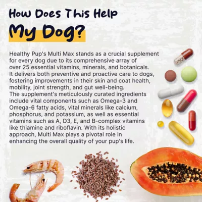 Product Healthy Pup Multi Max Multifunctional Daily Support Soft Chews for Dogs