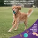 Product Chew King  Premium Treat Throw Stick Dog Toy