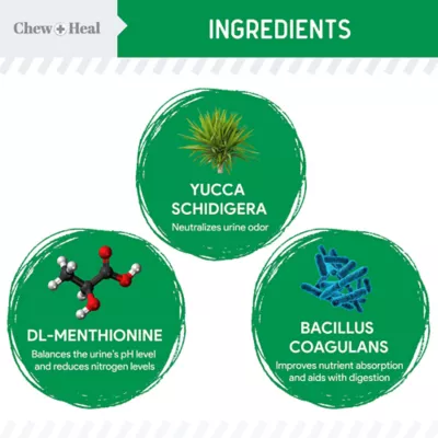 Product Chew + Heal Lawn Saver Green Grass Supplement Soft Chews for Dogs