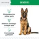 Product Chew + Heal Lawn Saver Green Grass Supplement Soft Chews for Dogs