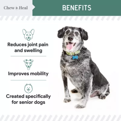 Product Chew + Heal Senior Hip + Joint Supplement Soft Chews for Dogs