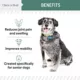 Product Chew + Heal Senior Hip + Joint Supplement Soft Chews for Dogs