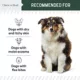 Product Chew + Heal Hydrocortisone Skin Lotion Anti-Itch First Aid Essential for Dogs