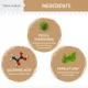 Product Chew + Heal Stop The Poo Coprophagia & Digestive Supplement Peanut Butter Flavor Soft Chews for Dogs