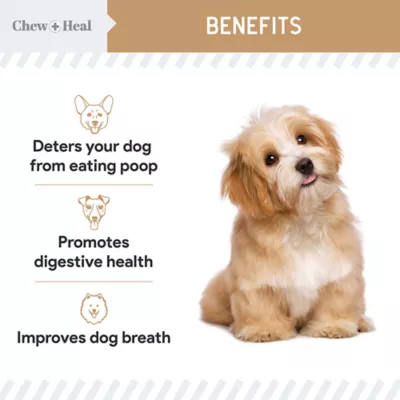 Product Chew + Heal Stop The Poo Coprophagia & Digestive Supplement Peanut Butter Flavor Soft Chews for Dogs