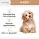Product Chew + Heal Stop The Poo Coprophagia & Digestive Supplement Peanut Butter Flavor Soft Chews for Dogs