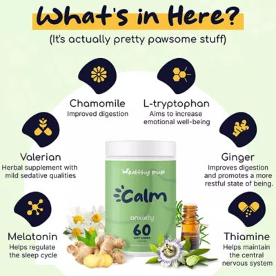 Product Healthy Pup Anxiety Calming Aid Soft Chews for Dogs