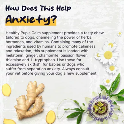 Product Healthy Pup Anxiety Calming Aid Soft Chews for Dogs