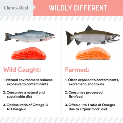 Product Chew + Heal Wild Alaskan Omega Salmon Oil Formula Skin & Coat Liquid Supplement for Dogs, 16-fl oz