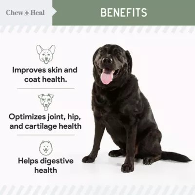 Product Chew + Heal 4-In-1 Support Multivitamin Supplement Soft Chews for Dogs