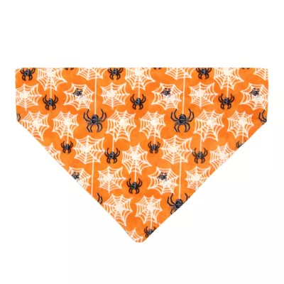 Product Made By Cleo® Spooky Spiderwebs Cat Bandana