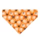 Product Made By Cleo® Spooky Spiderwebs Cat Bandana