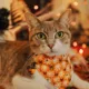 Product Made By Cleo® Spooky Spiderwebs Cat Bandana