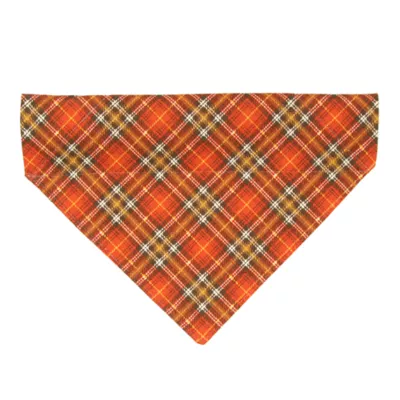 Product Made By Cleo® Pecan Praline Cat Bandana