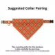 Product Made By Cleo® Pecan Praline Cat Bandana