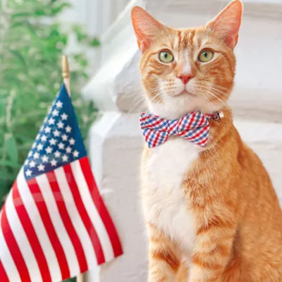 Product Made By Cleo® Heritage Cat Bow Tie