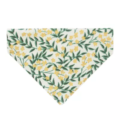 Product Made By Cleo® Golden Vine Cat Bandana