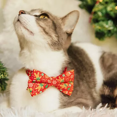 Product Made By Cleo® Christmas Treats Red Cat Bow Tie